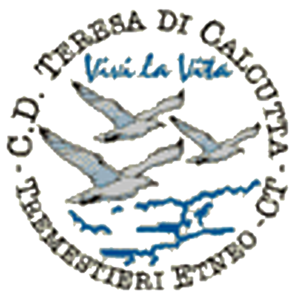 Logo Madre Teresa di Calcutta